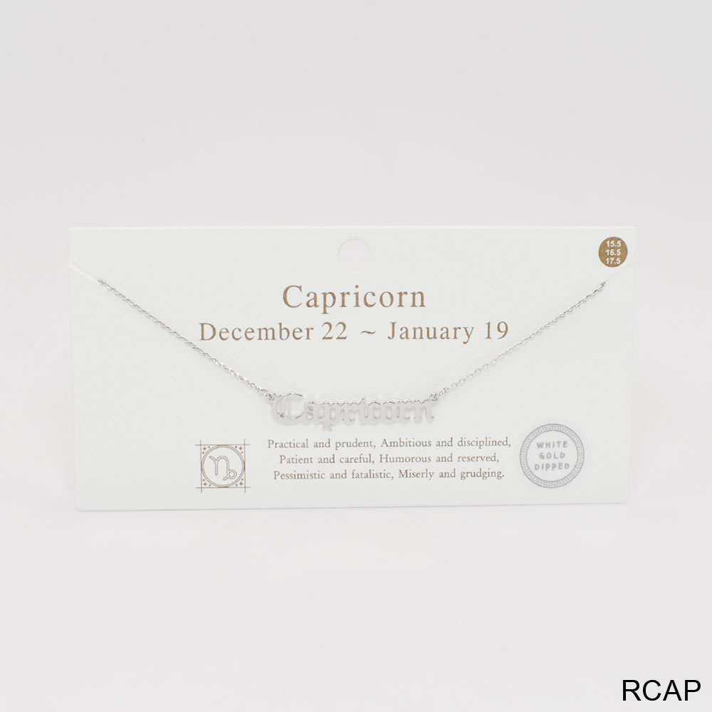 CAPRICORN-PN2013