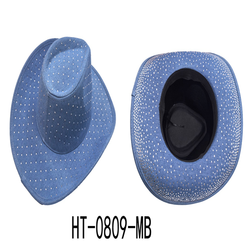 HT-0809