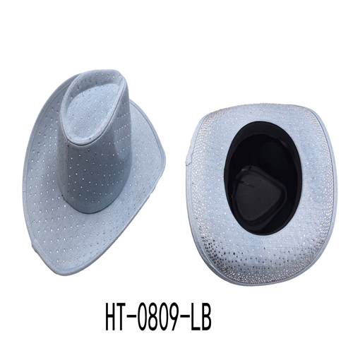 HT-0809