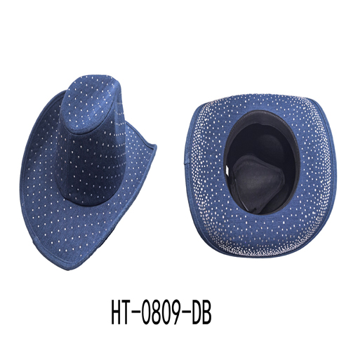 HT-0809