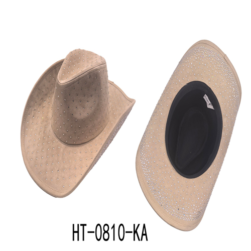 HT-0810