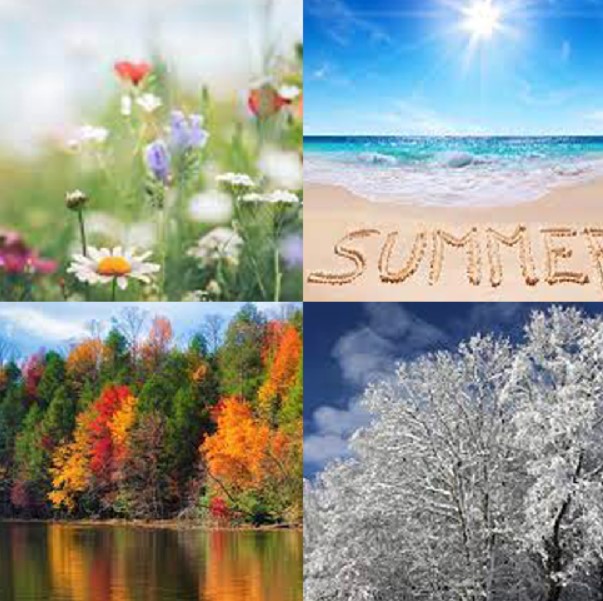 FOUR SEASONS